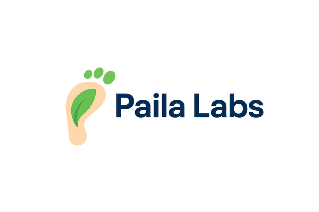 Paila Tech Logo